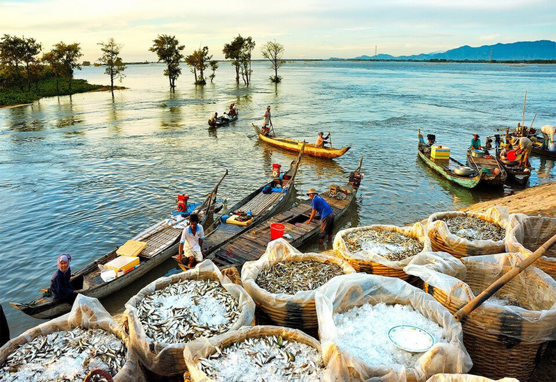 Hình ảnh mùa nước nổi
