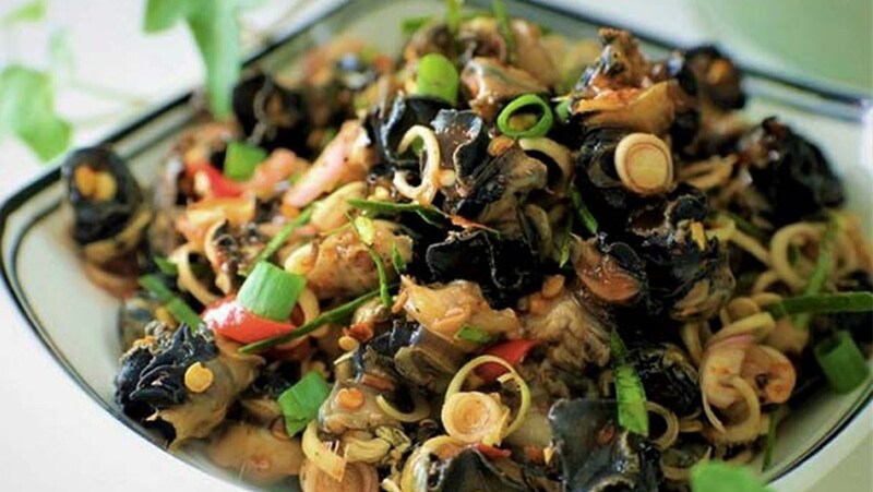 Hình ảnh ốc xu núi Bà