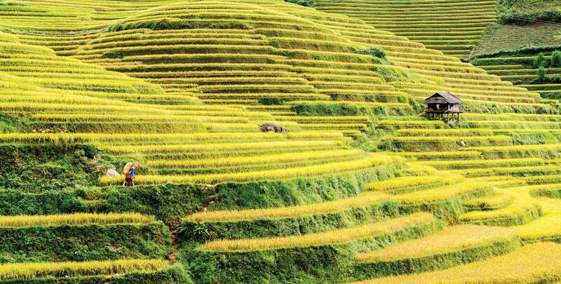 Hình ảnh ruộng bậc thang Tây Bắc