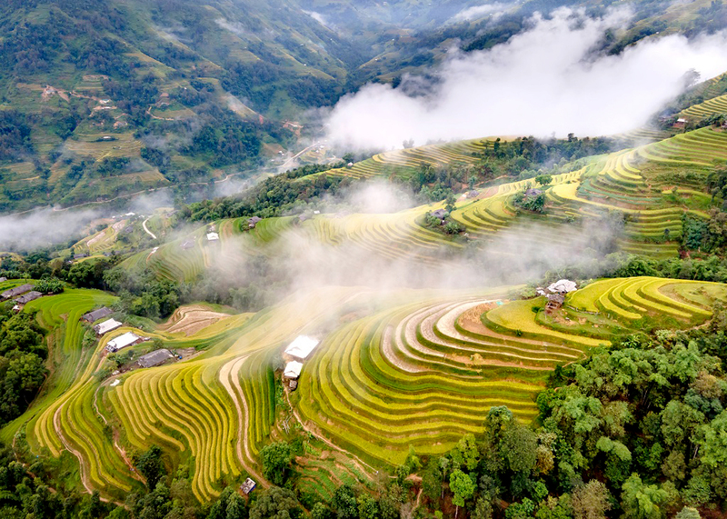 Hình ảnh ruộng bậc thang Tây Bắc