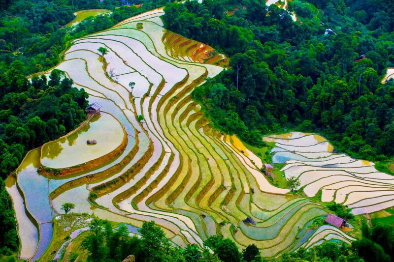 Hình ảnh ruộng bậc thang vào mùa nước đổ