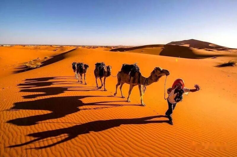 Hình ảnh sa mạc Sahara