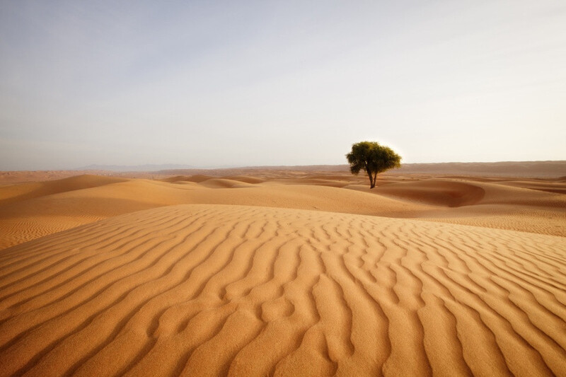 Hình ảnh sa mạc Sahara