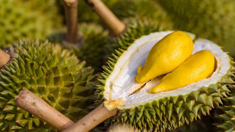 Hình ảnh sầu riêng