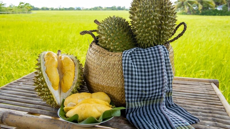 Hình ảnh sầu riêng