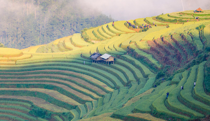 Hình ảnh sương sớm trên đỉnh núi Tây Bắc
