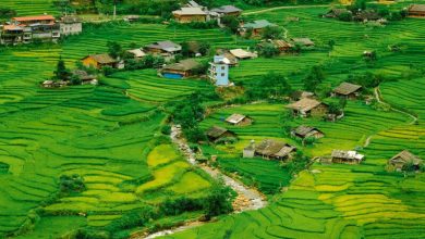 Hình ảnh thiên nhiên Tây Bắc