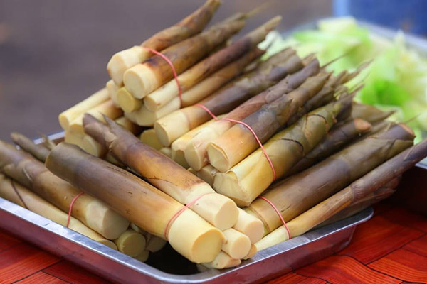 Măng trúc Bắc Giang