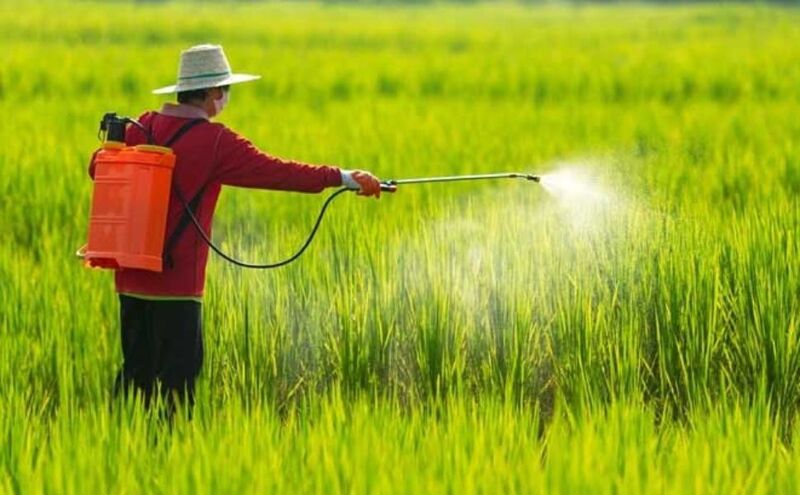 Thực phẩm chứa thuốc trừ sâu
