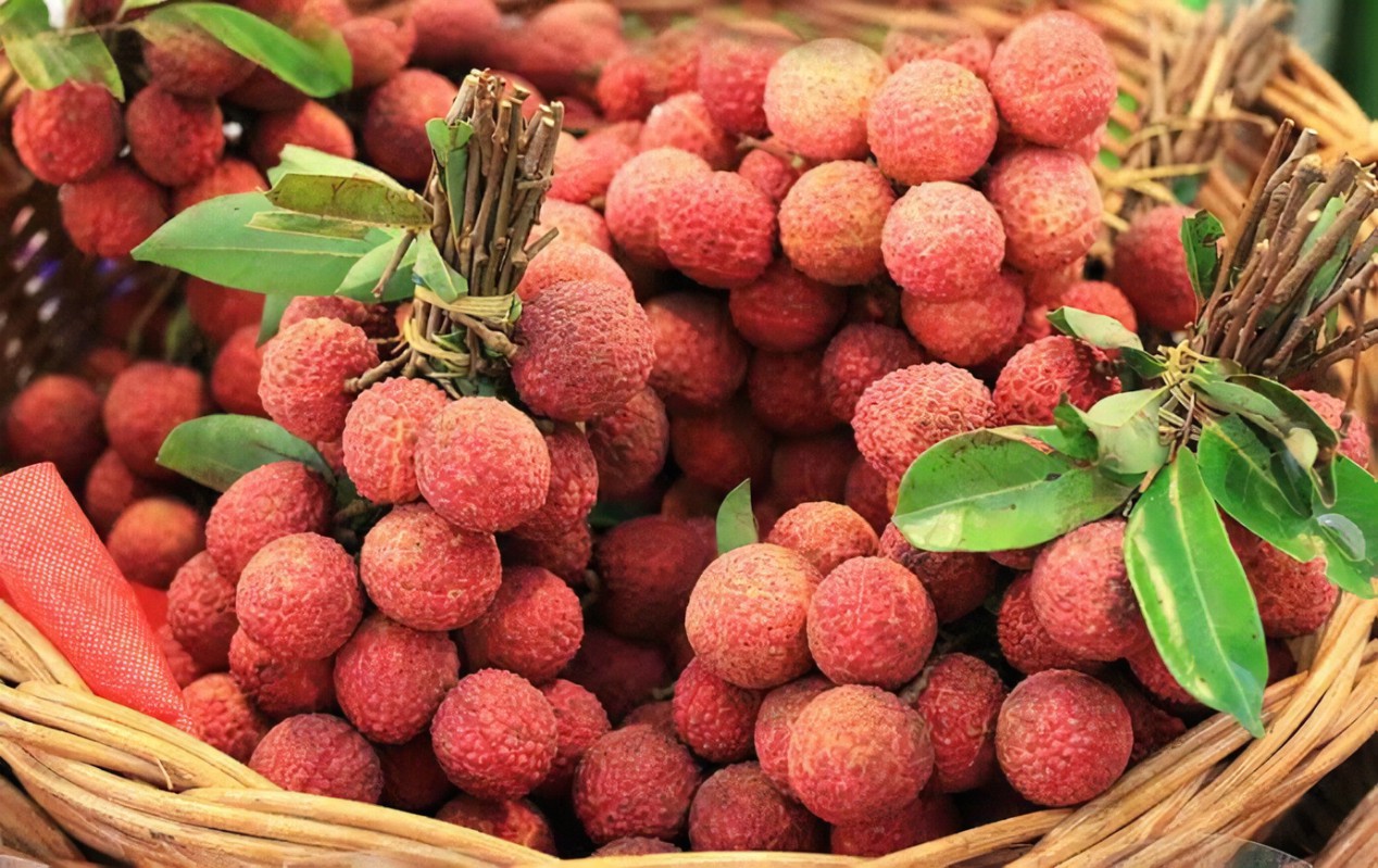 Vải thiều Lục Ngạn