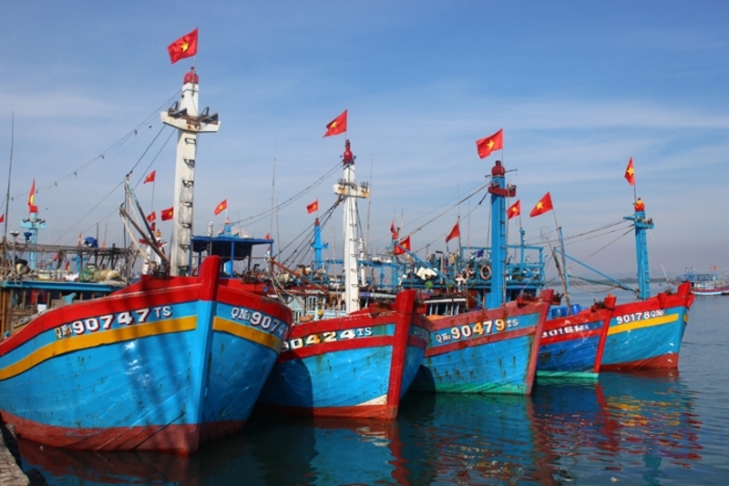 Biển Hải hậu