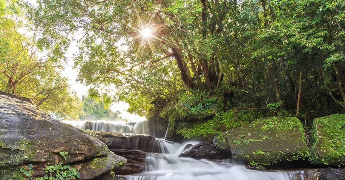Hình ảnh suối trầu