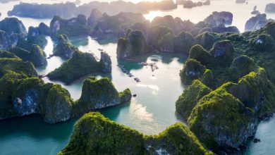 Hình ảnh bãi biển Quảng Ninh