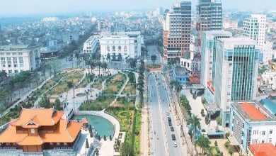 Hình ảnh Thái Bình