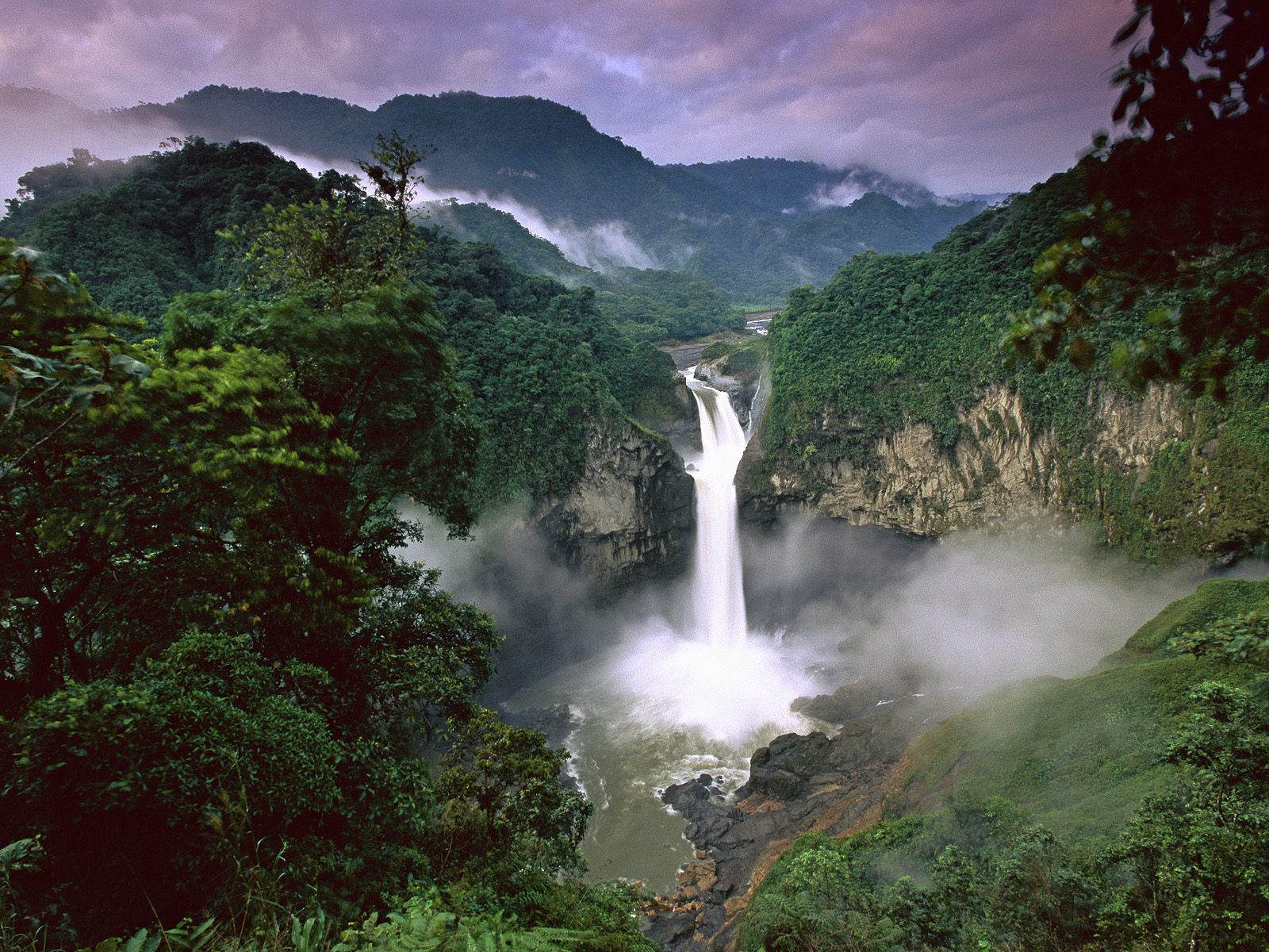Amazon Rainforest