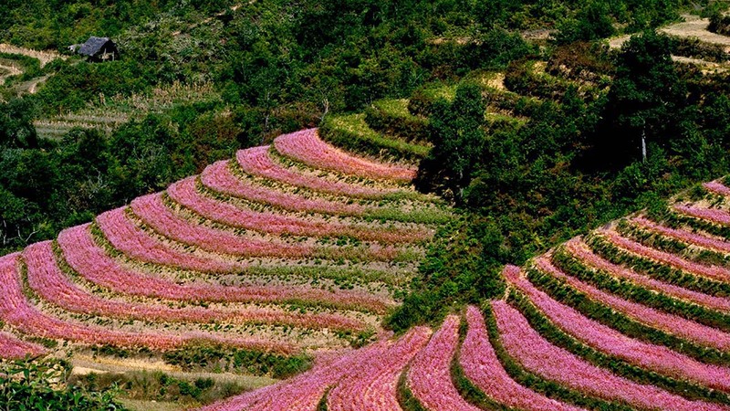 Ảnh thung lũng Sủng Là