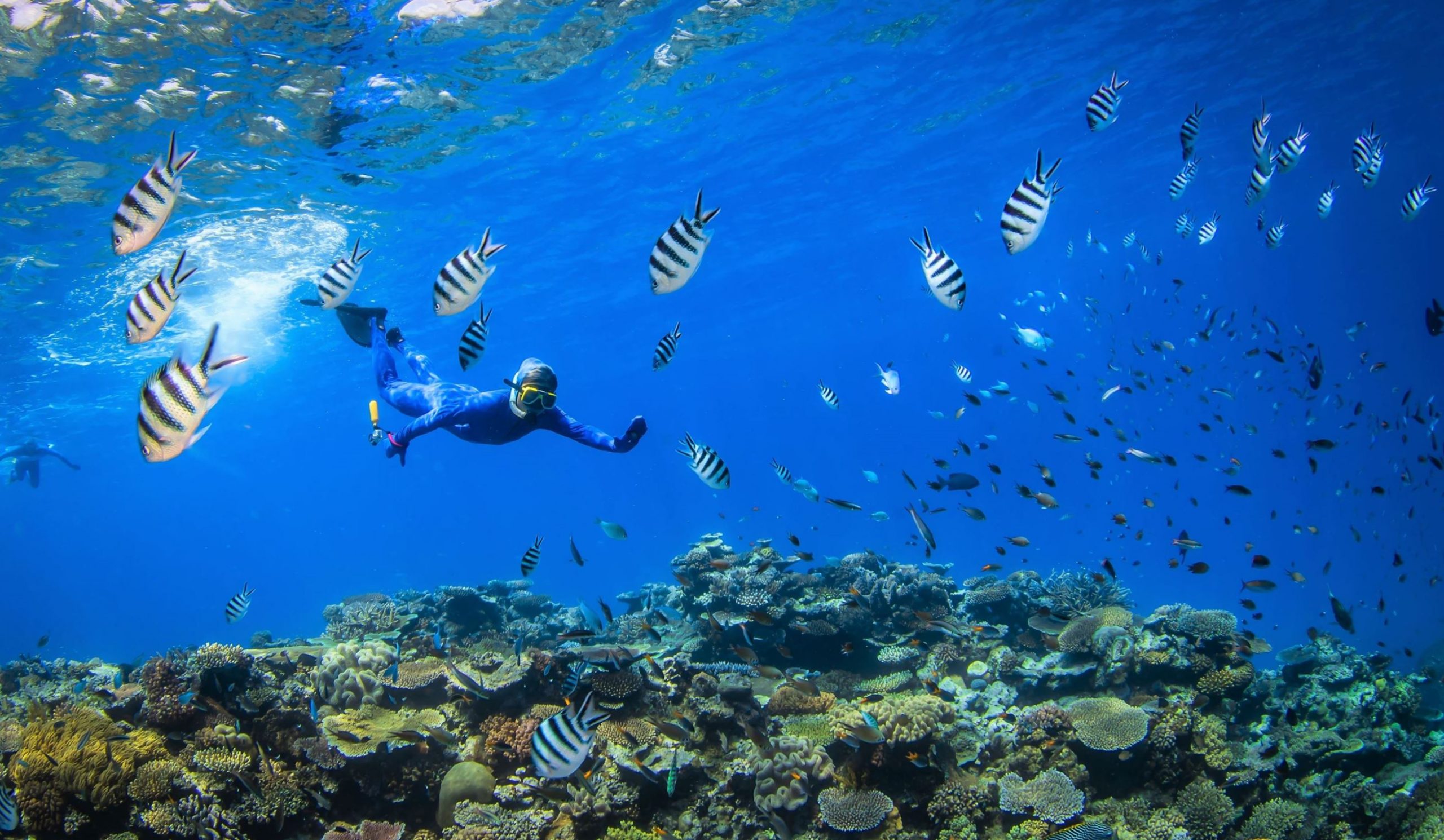 Great Barrier Reef