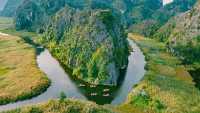Hình ảnh bãi biển Ninh Bình