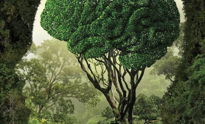 Hình ảnh con người và thiên nhiên