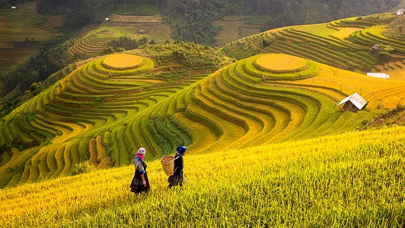 Hình ảnh con người và thiên nhiên