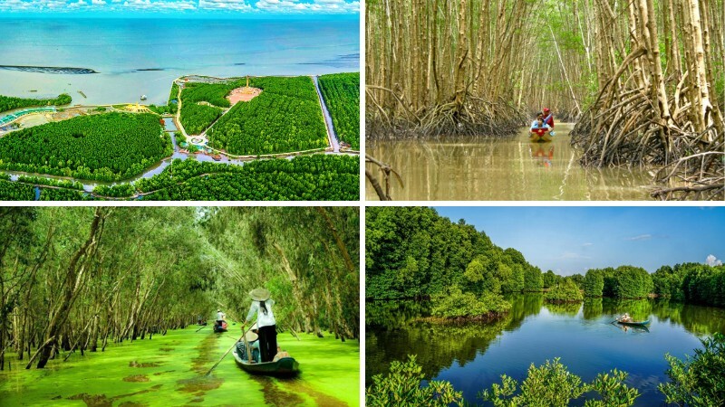 Hình ảnh hệ sinh thái