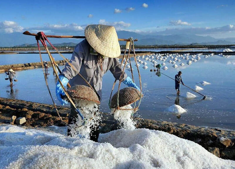 Hình ảnh muối biển Ninh Thuận