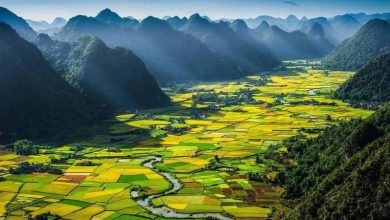 Hình ảnh quang cảnh thiên nhiên