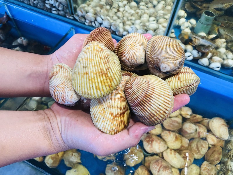 Hình ảnh sò dương