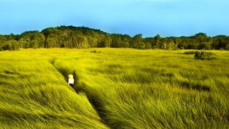 Hình ảnh thiên nhiên 3D