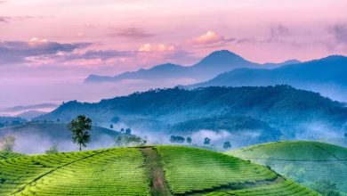 Hình ảnh thiên nhiên Việt Bắc