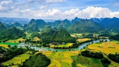 Hình ảnh thiên nhiên chất lượng