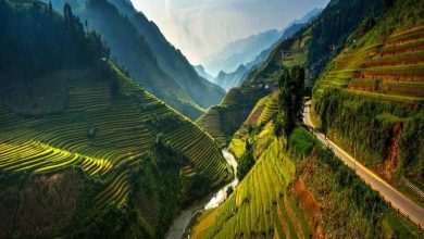 Hình ảnh thiên nhiên tuyệt đẹp