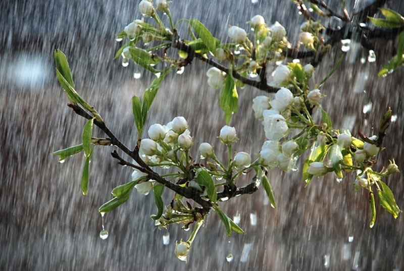 Hình ảnh thời tiết qua ống kính