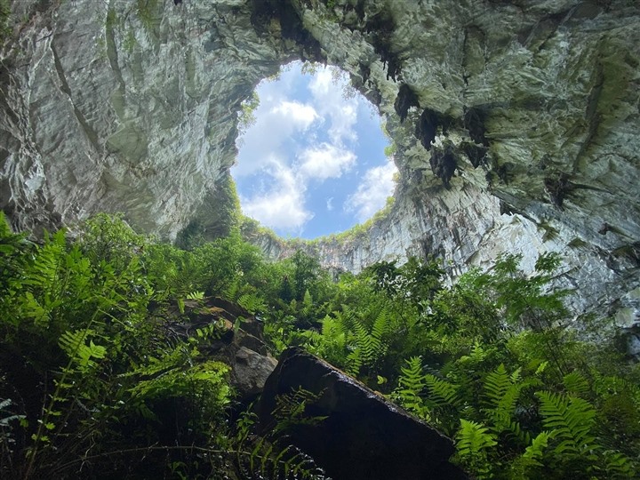 Hố Sụt (Sinkhole)
