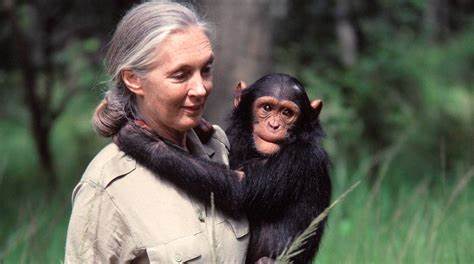 Jane Goodall