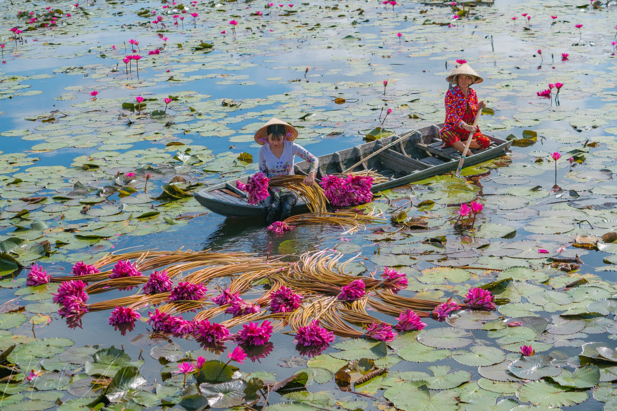 Mùa nước nổi miền Tây