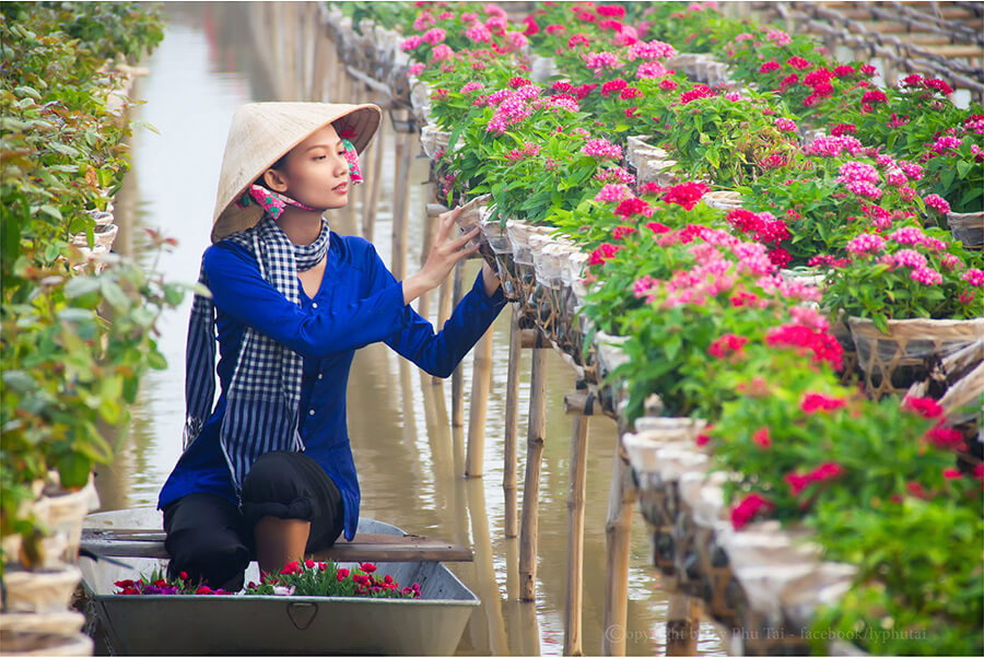 Người con gái Miền Tây