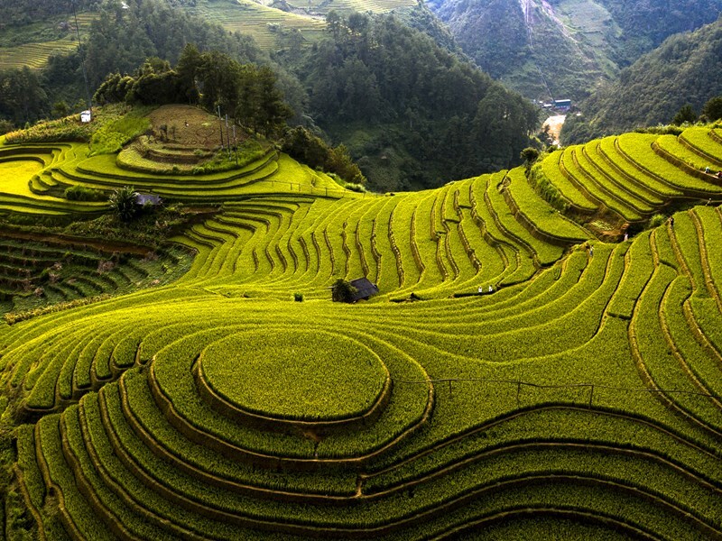 Ruộng bậc thang Mù Cang Chải