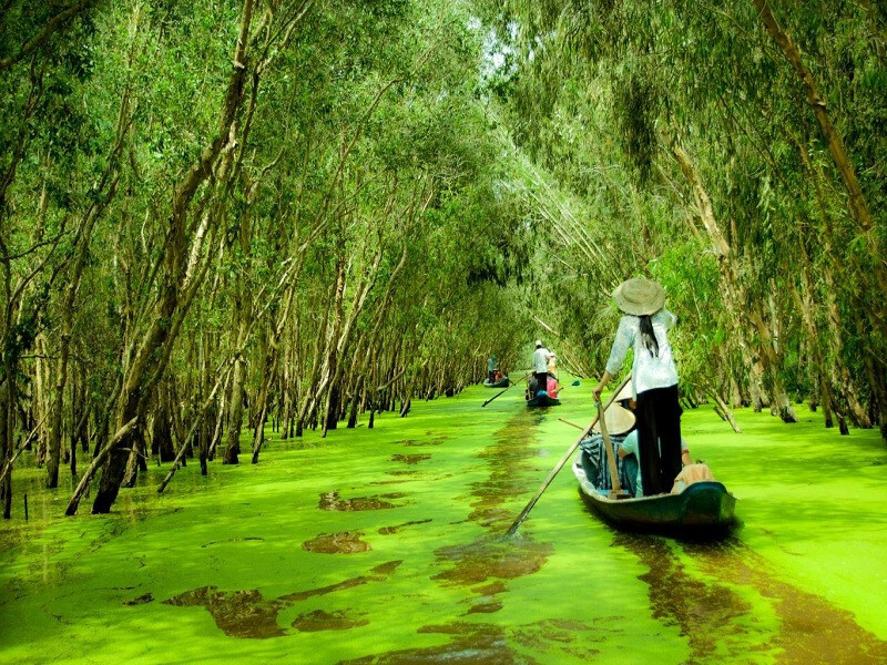 Sự gắn kết con người với thiên nhiên