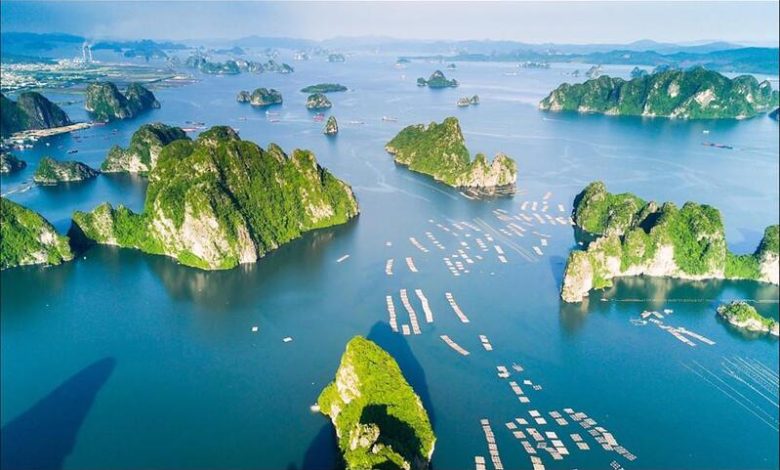 Vietnam