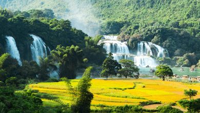 hình ảnh thiên nhiên việt nam (1)