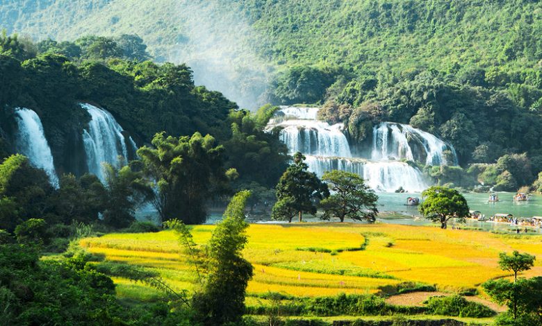 hình ảnh thiên nhiên việt nam (1)