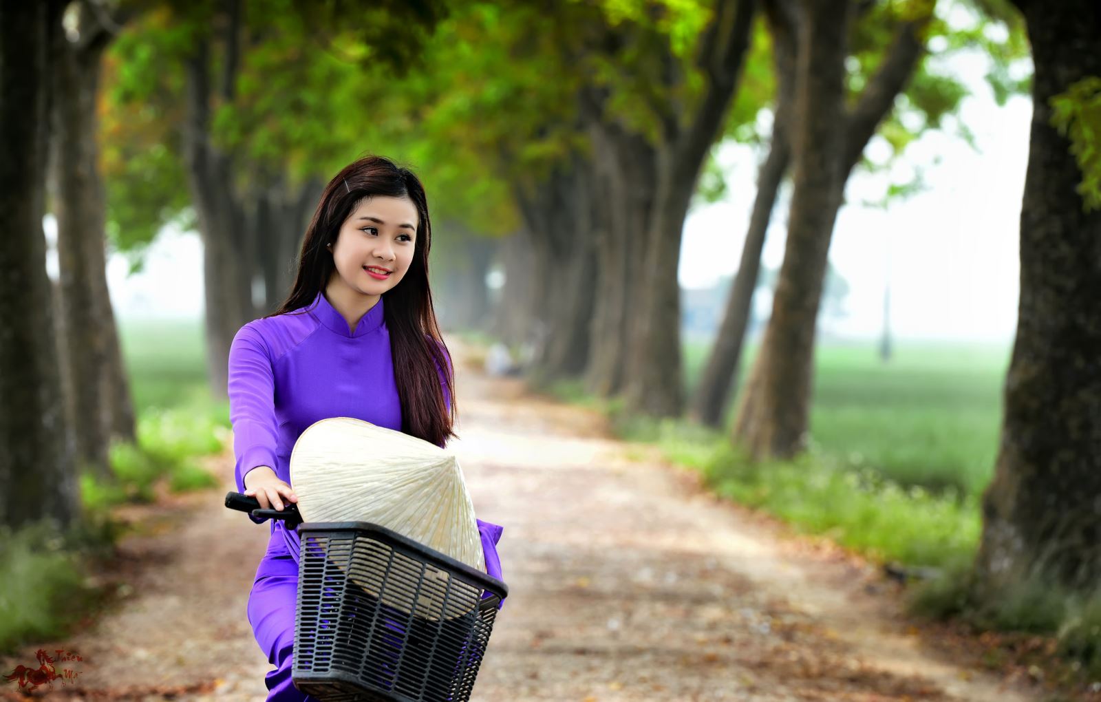 Người con gái Miền Trung