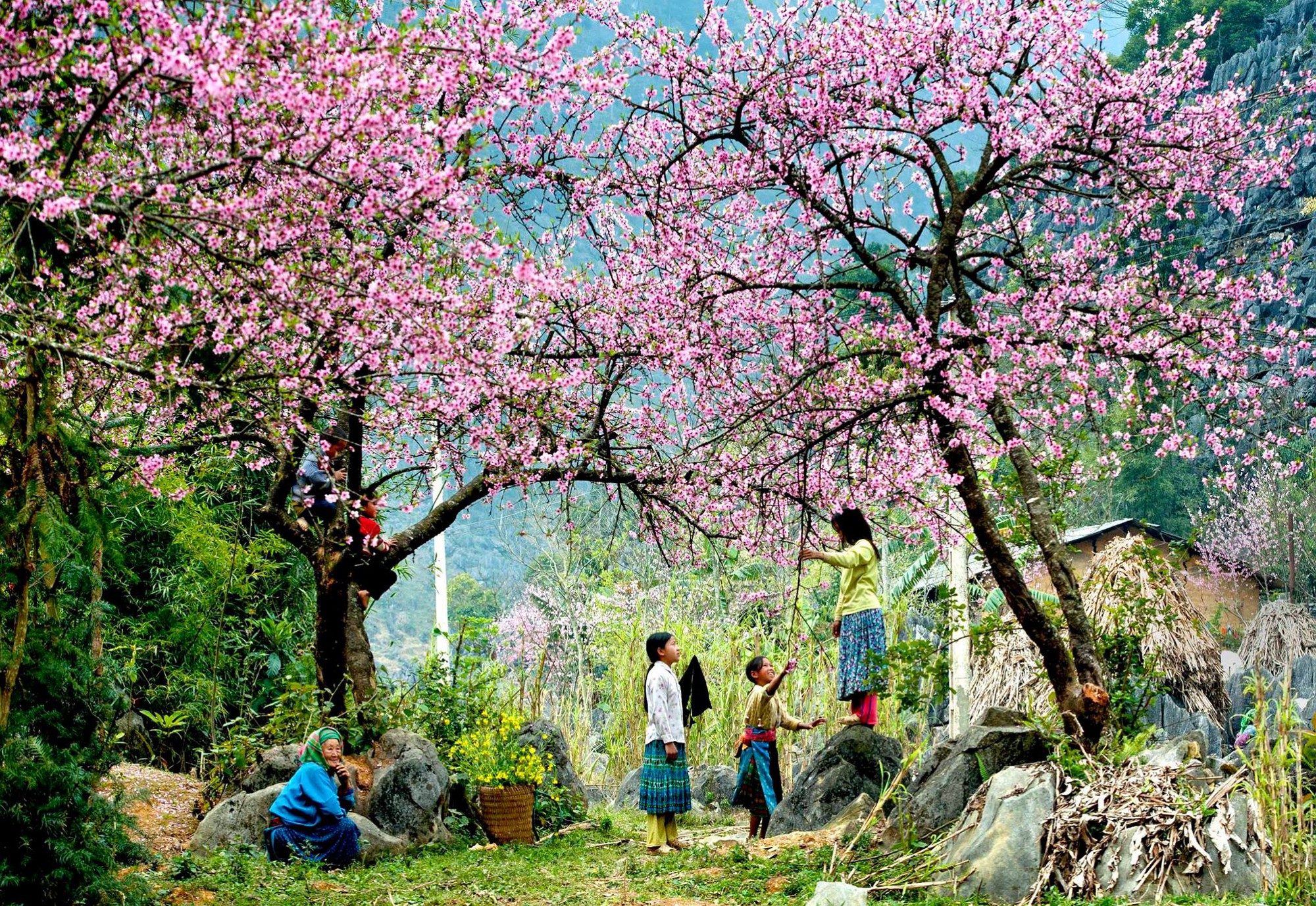 Phong cảnh núi non