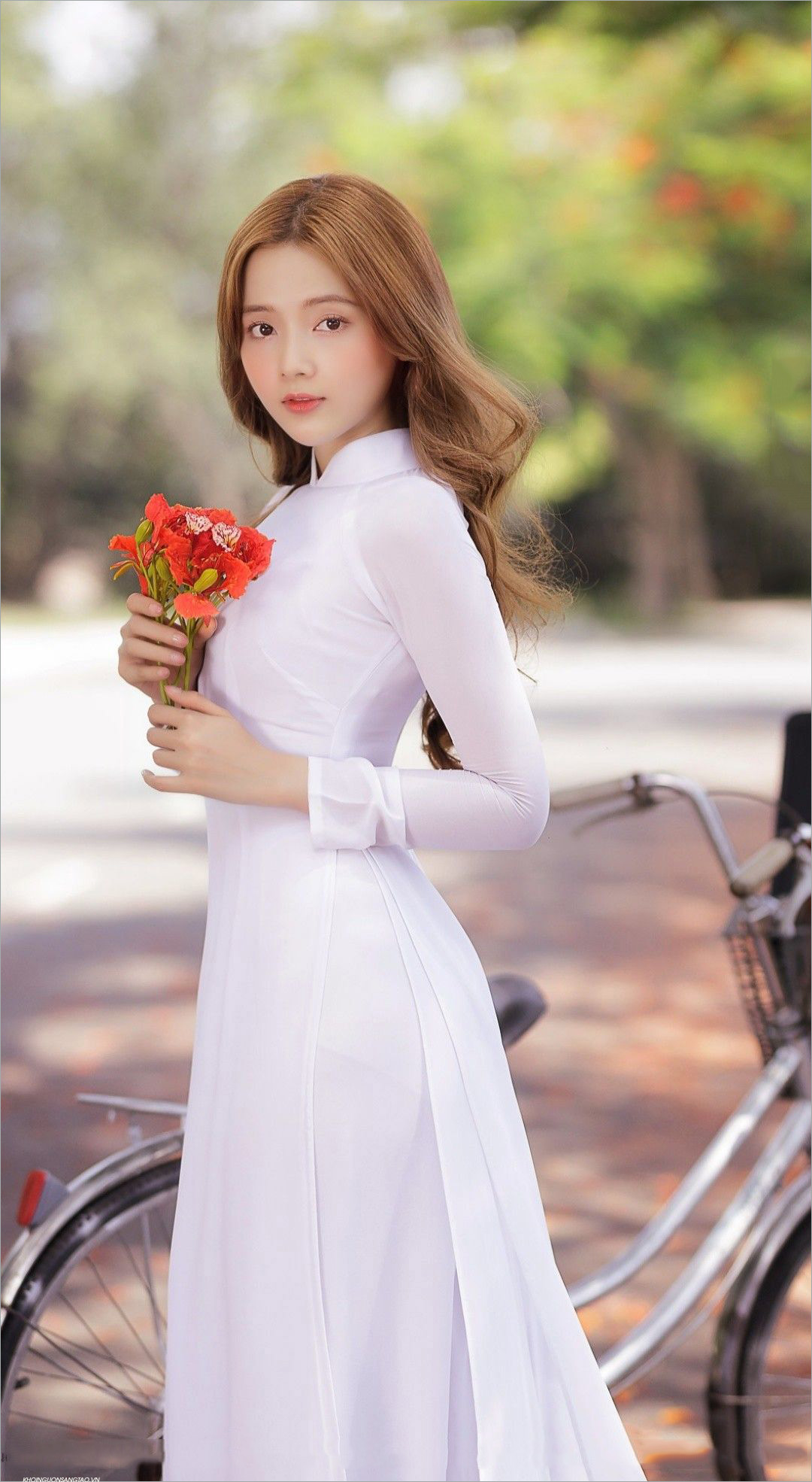 Người con gái Miền Bắc