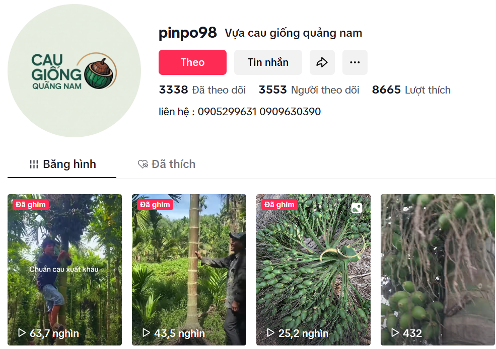 tiktok vựa cau giống Quảng Nam