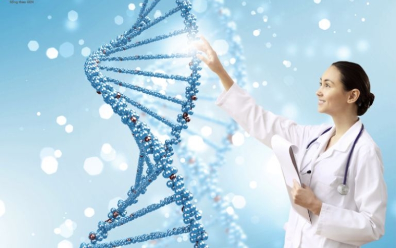 Giới thiệu thương hiệu giaimaGenetica