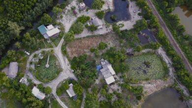 Homie Hava Homestay – Homestay Giá Rẻ Lý Tưởng Tại Lăng Cô
