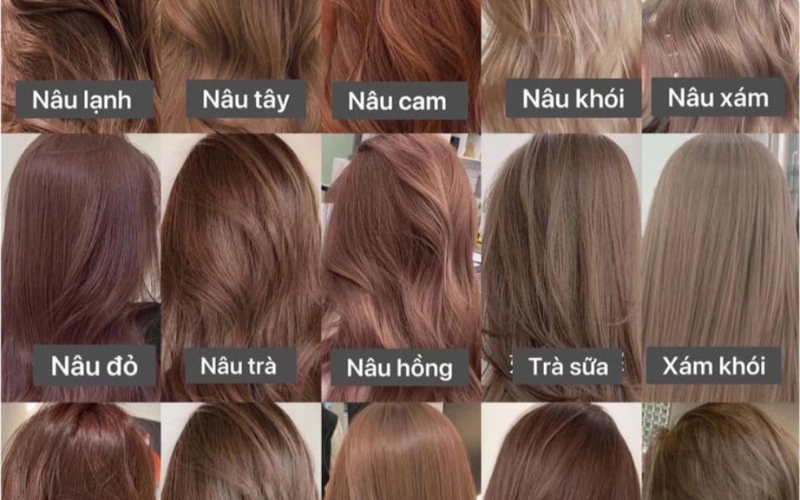Màu Socola Ánh Khói Dẫn Đầu Xu Hướng