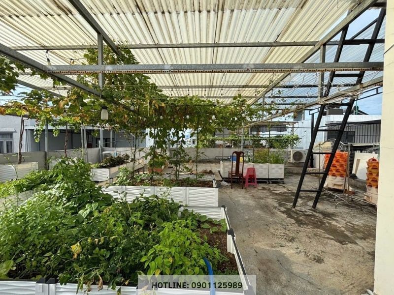 Sân thượng trồng cây của biệt thự Đà Nẵng, nơi thư giãn lý tưởng